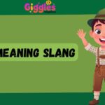 FN Meaning Slang