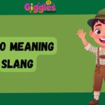 PTSO Meaning Slang